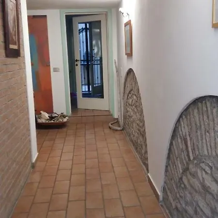 Dadahouse * بيزارو